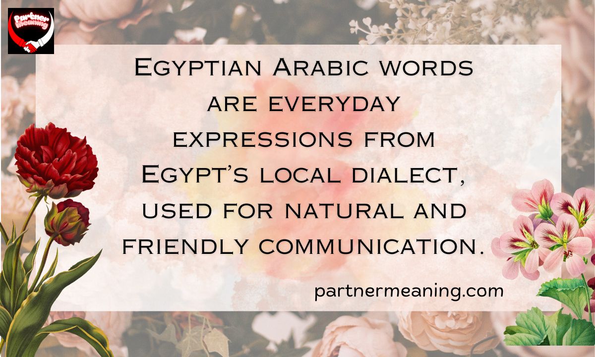 Common Egyptian Arabic Words with Meanings