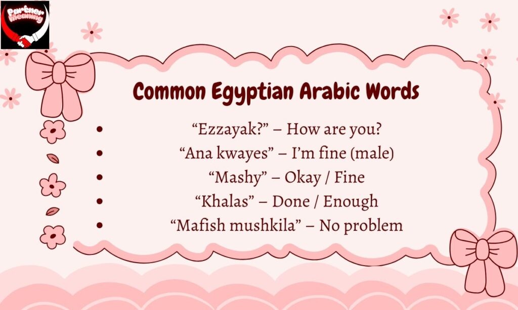 Egyptian Arabic Words for Daily Conversation