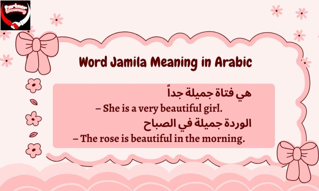 Examples of the Word Jamila in Arabic Sentences