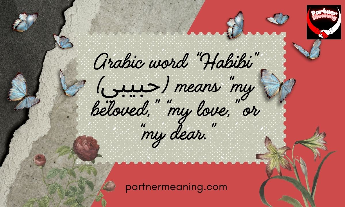 Habibi Meaning in Arabic My Love, My Dear, My Friend