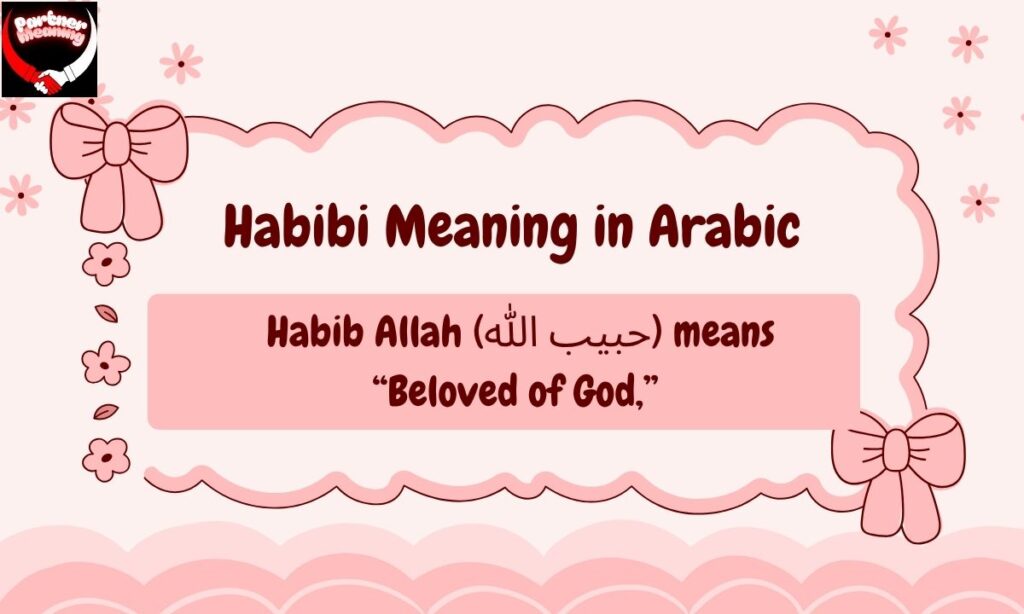 Habibi in Islamic and Cultural Context