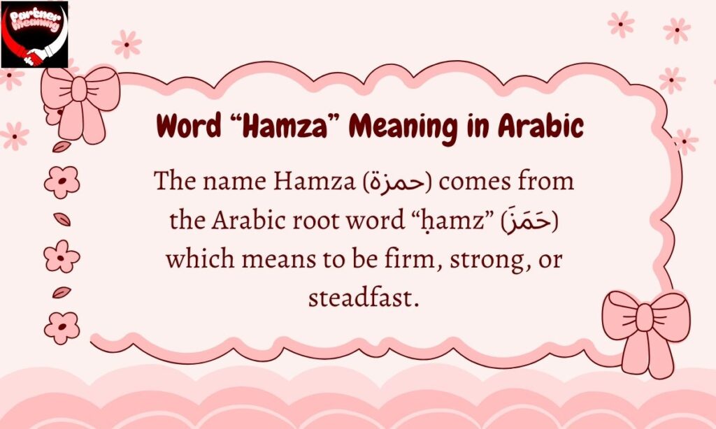 Modern Usage and Popularity of the Name Hamza