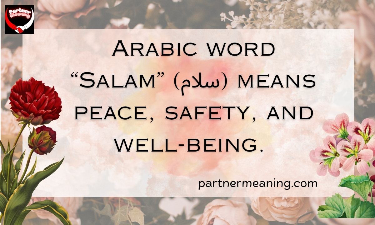 Salam Meaning in Arabic (سلام) – Peace and Blessings Explained