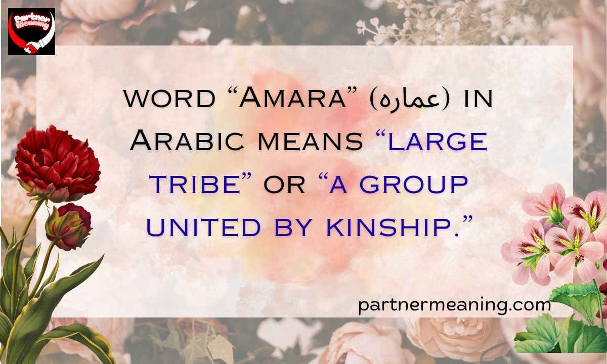 The Word “Amara” Meaning in Arabic – Origin, History, and Global Significance
