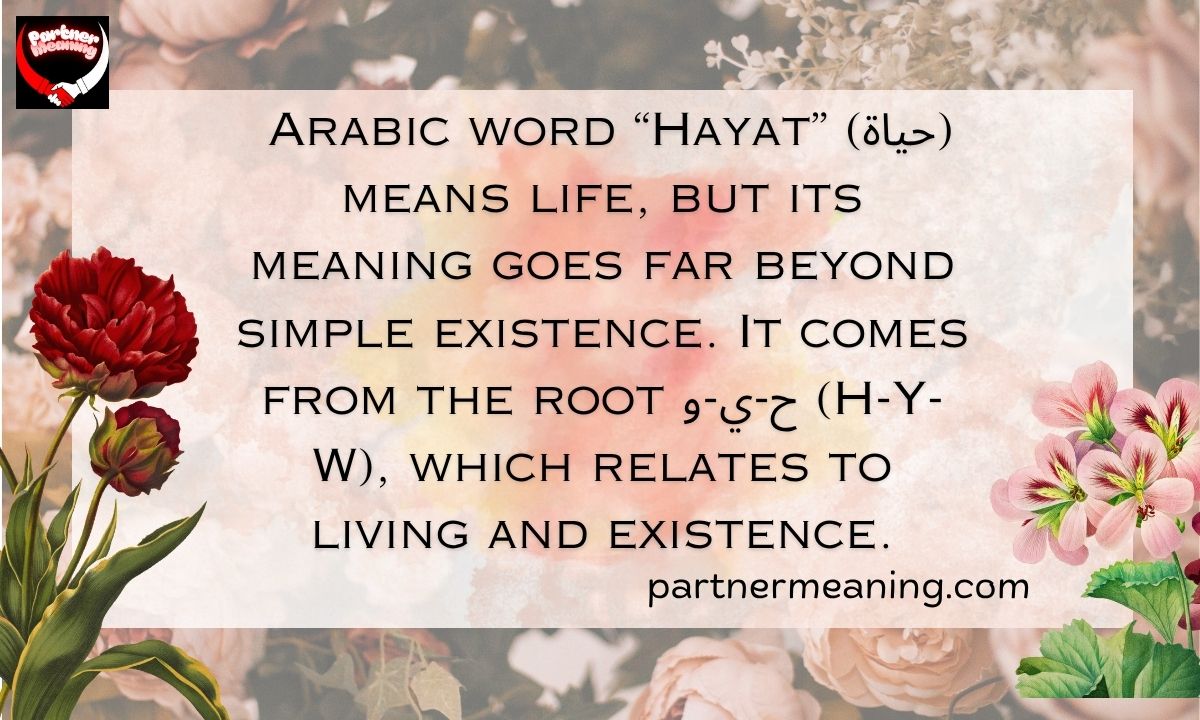 The Word Hayat Meaning in Arabic – Life, Existence, and Spiritual Depth