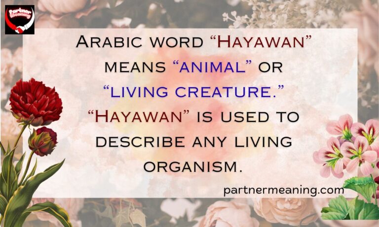 The Word “Hayawan” Meaning in Arabic – Origin, Usage, and Quranic Significance