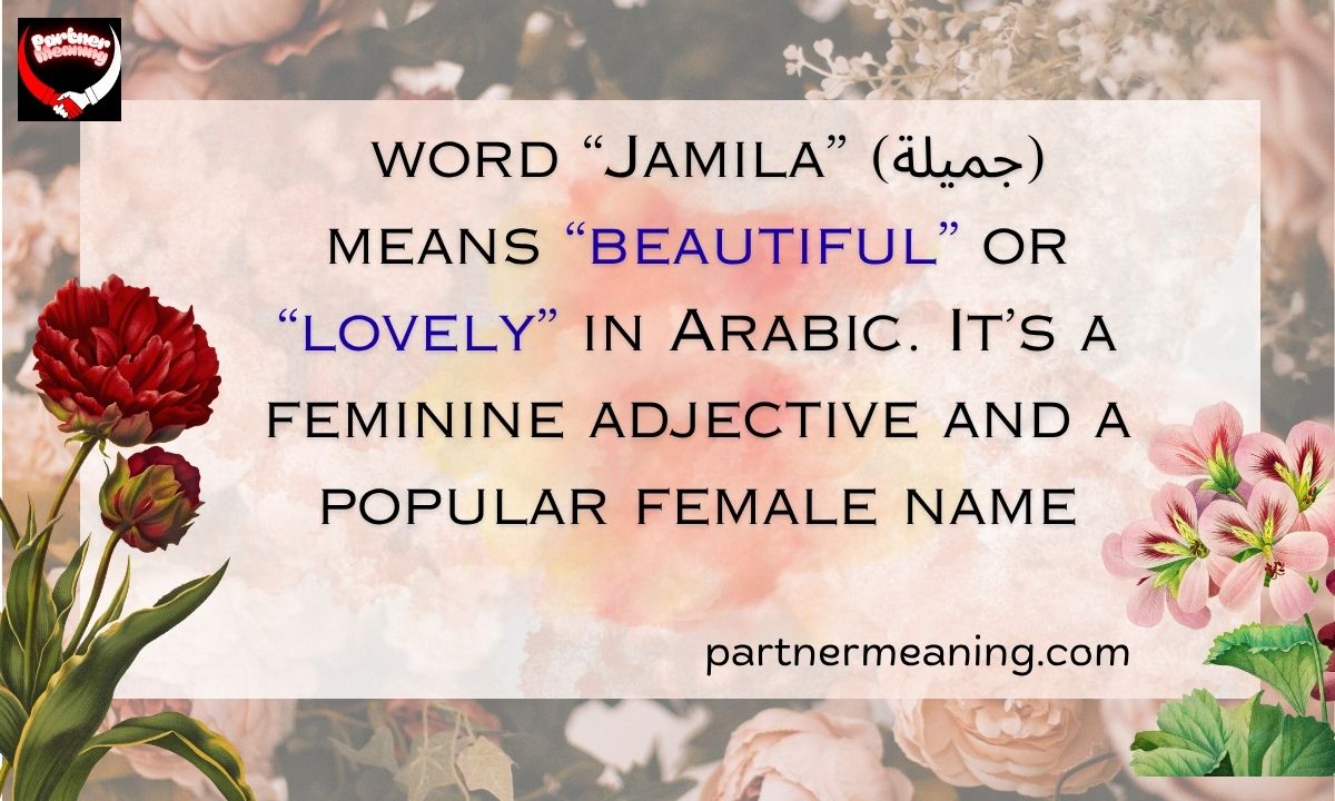 The Word Jamila Meaning in Arabic – Beautiful Name Explained