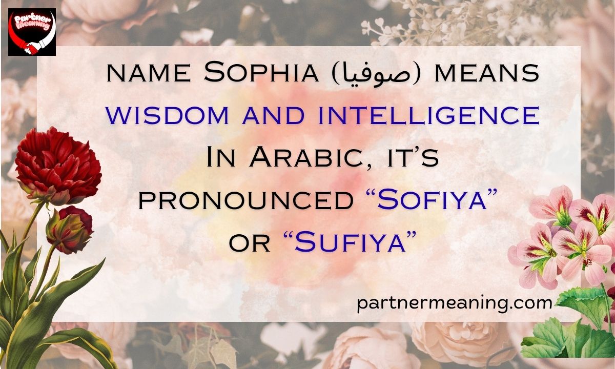 The Word Sophia Meaning in Arabic – Origin, History, and Cultural Significance