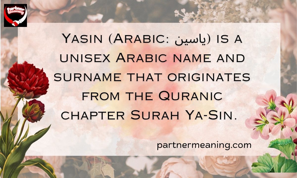 The Word Yasin Meaning in Arabic With Examples