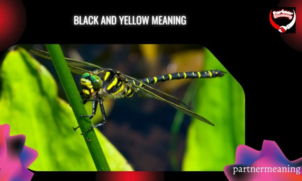 Black And Yellow Meaning