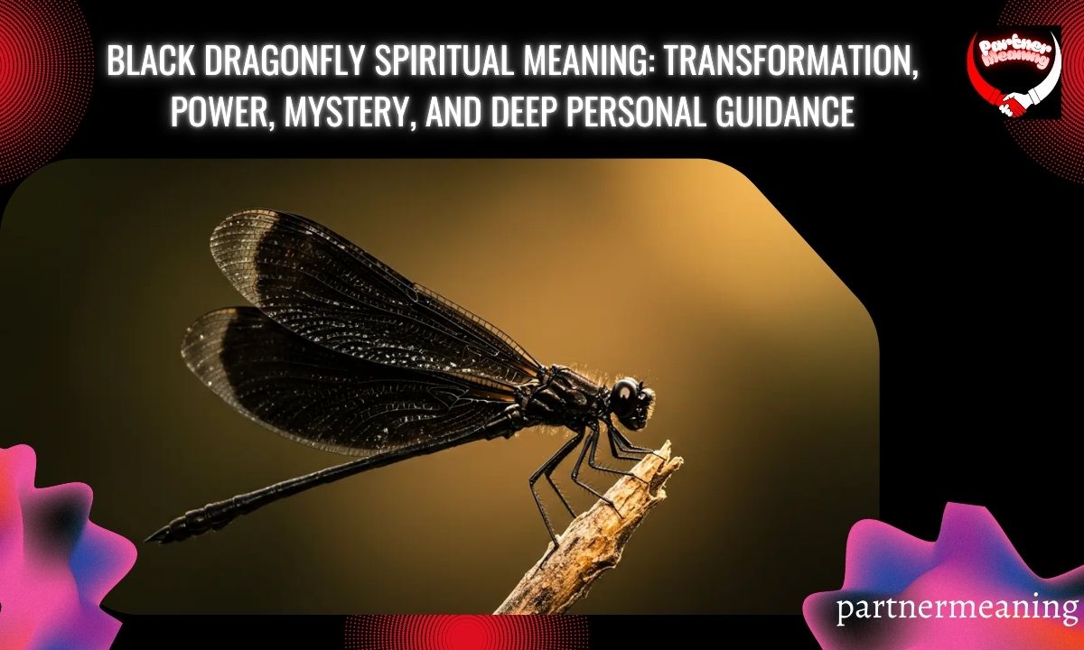 Black Dragonfly Spiritual Meaning: Transformation, Power, Mystery, and Deep Personal Guidance