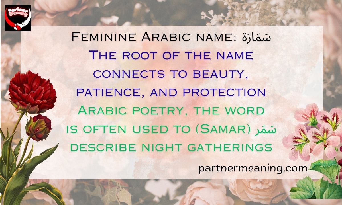 The Word Samara Meaning in Arabic – Origin, Root, and Cultural Significance