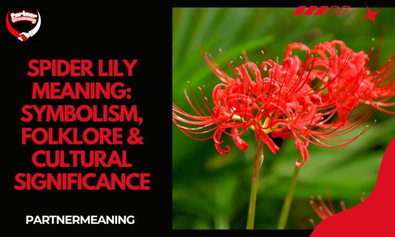 Spider Lily Meaning: Symbolism, Folklore & Cultural Significance
