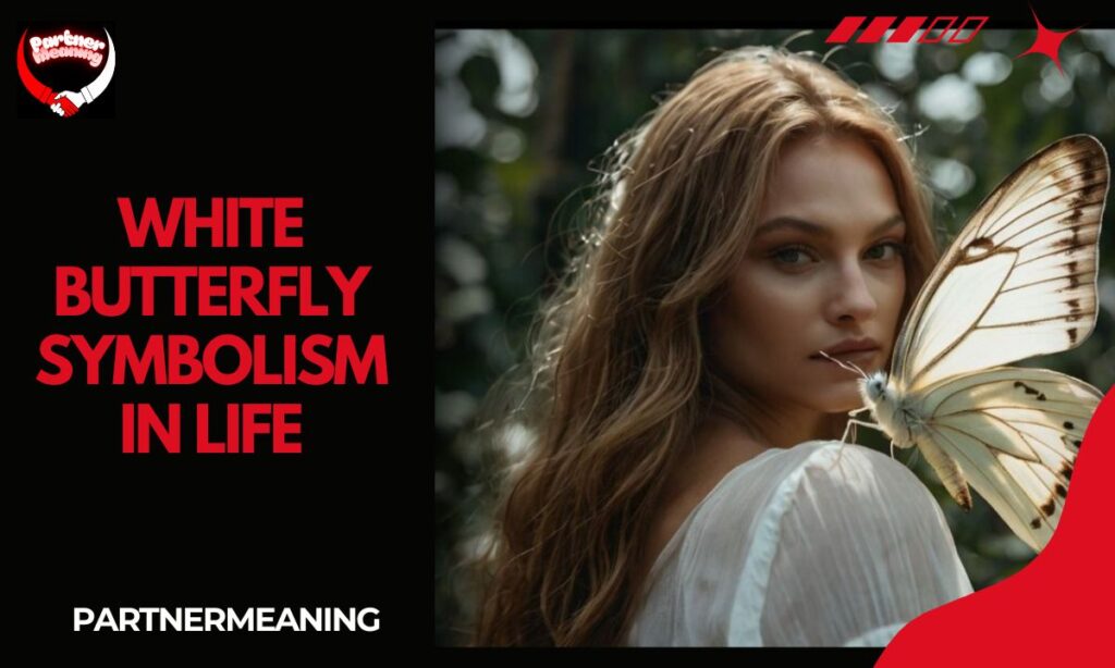White Butterfly Symbolism in Life